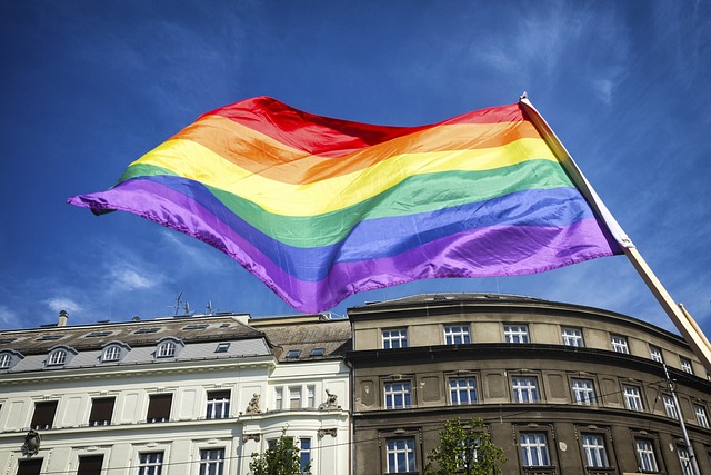 vlajka LGBTQ+